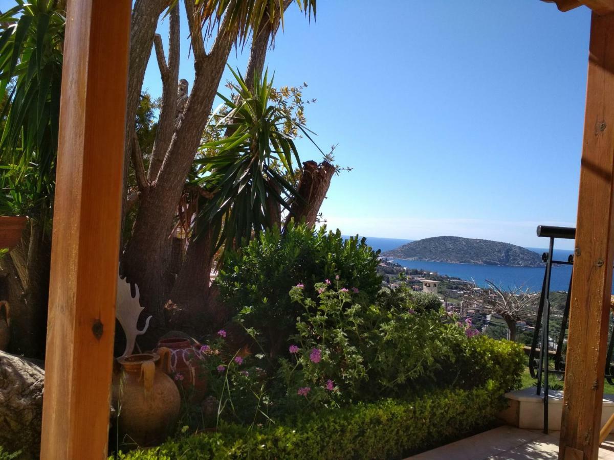 아나비소스 Saronic View 게스트하우스 외부 사진